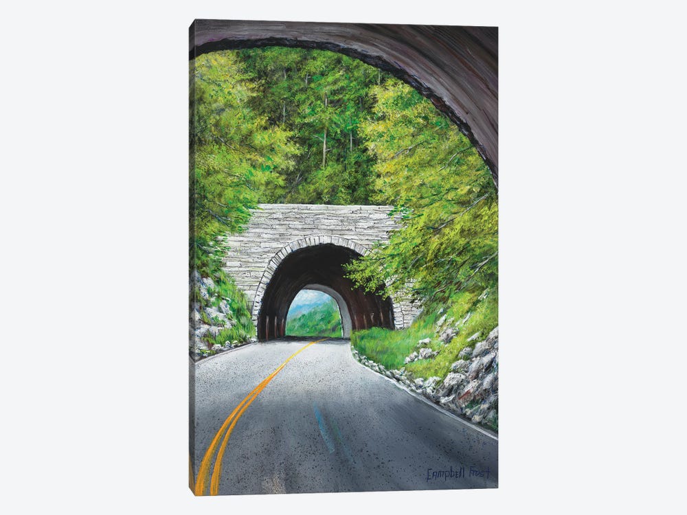 Blue Ridge Loop by Campbell Frost 1-piece Canvas Wall Art