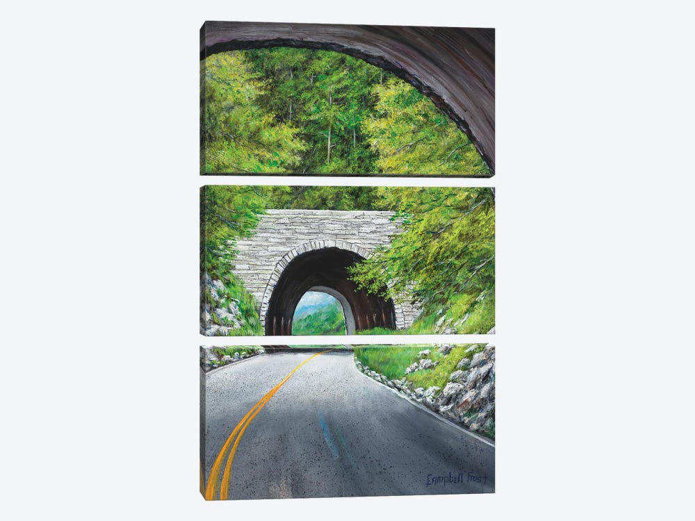 Blue Ridge Loop by Campbell Frost 3-piece Canvas Artwork