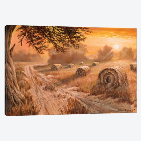 Country Sunset Canvas Print #CMF25} by Campbell Frost Art Print