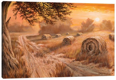 Country Sunset Canvas Art Print - Campbell Frost