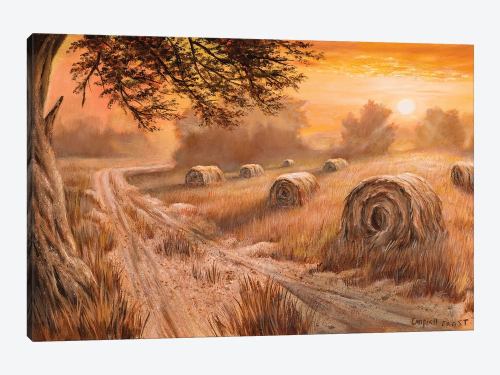 Country Sunset by Campbell Frost 1-piece Canvas Print