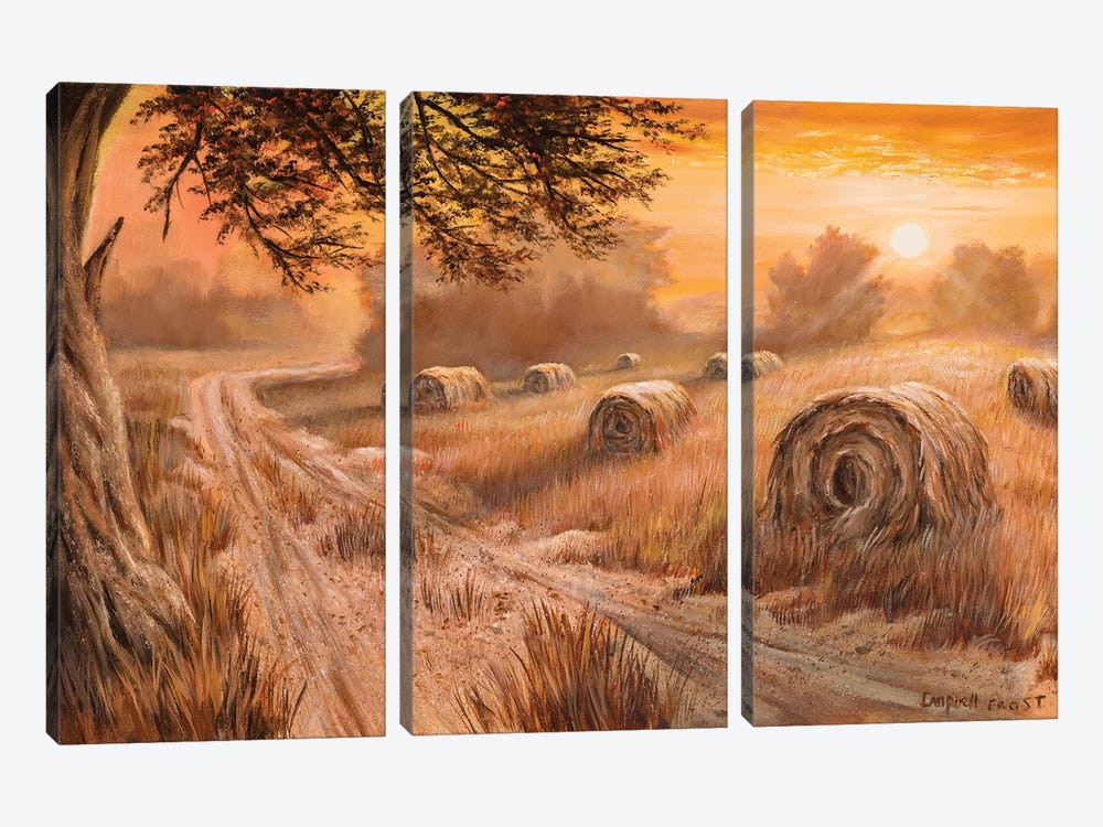 Country Sunset by Campbell Frost 3-piece Canvas Art Print