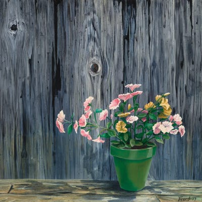 Shadow Of Delight by Campbell Frost framed wall art