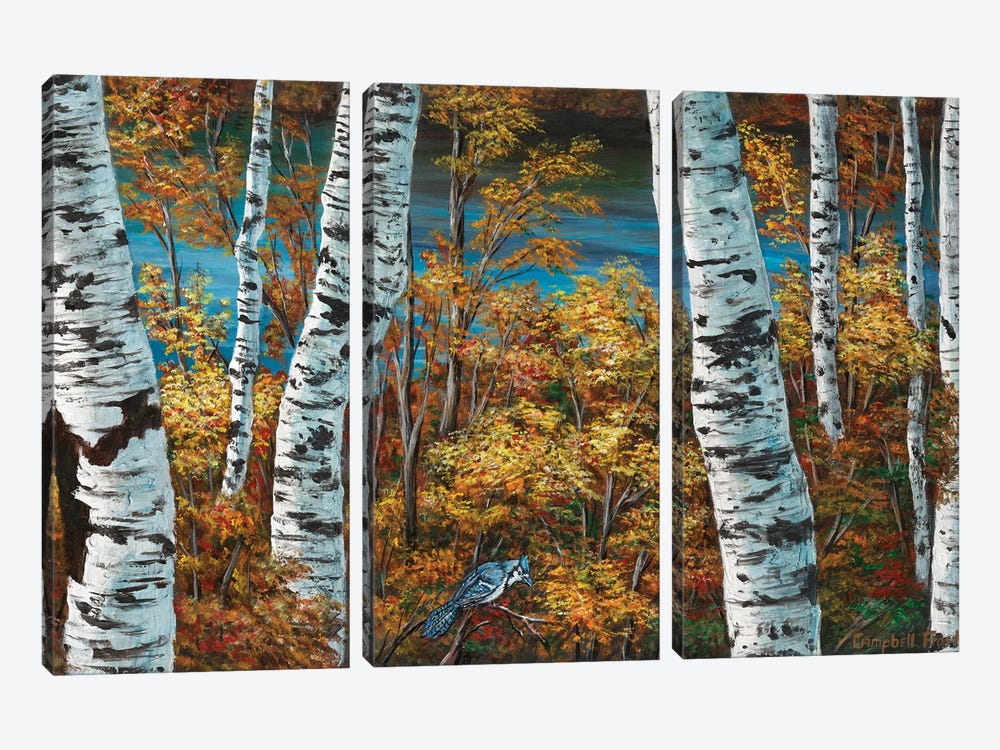 Blue Jay And Birch by Campbell Frost 3-piece Canvas Print