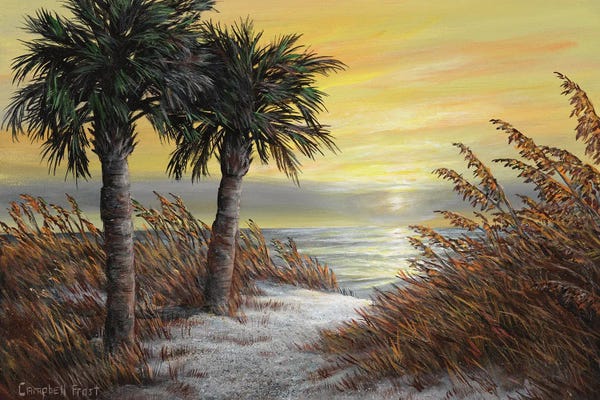 Grasses: Carolina Dawn by Campbell Frost