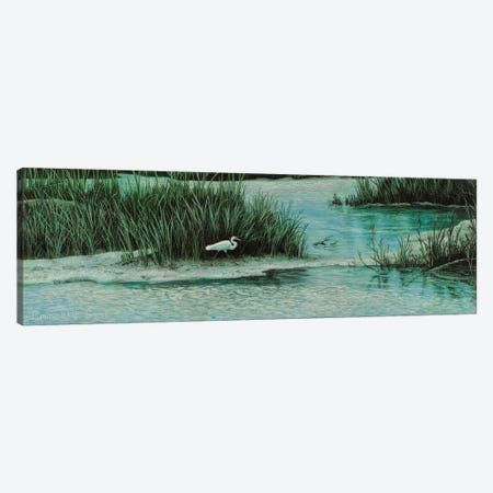 Marsh Morning Stroll Canvas Print #CMF33} by Campbell Frost Art Print
