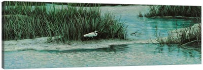 Marsh Morning Stroll Canvas Art Print - Marsh & Swamp Art