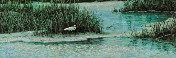 Grasses: Marsh Morning Stroll by Campbell Frost