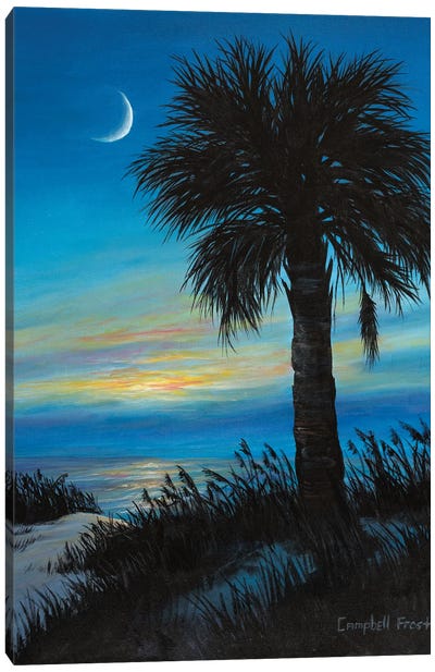 Palmetto Crescent Canvas Art Print - Sunrise & Sunset Art