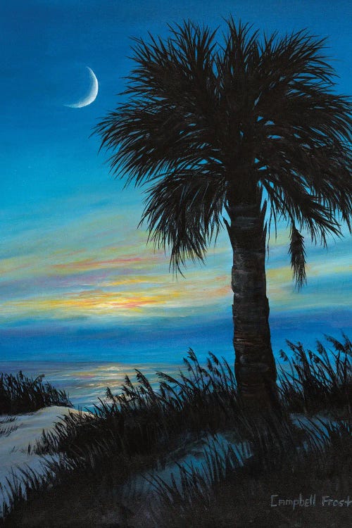 Palmetto Crescent by Campbell Frost canvas print