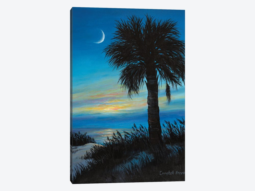 Palmetto Crescent by Campbell Frost 1-piece Canvas Artwork