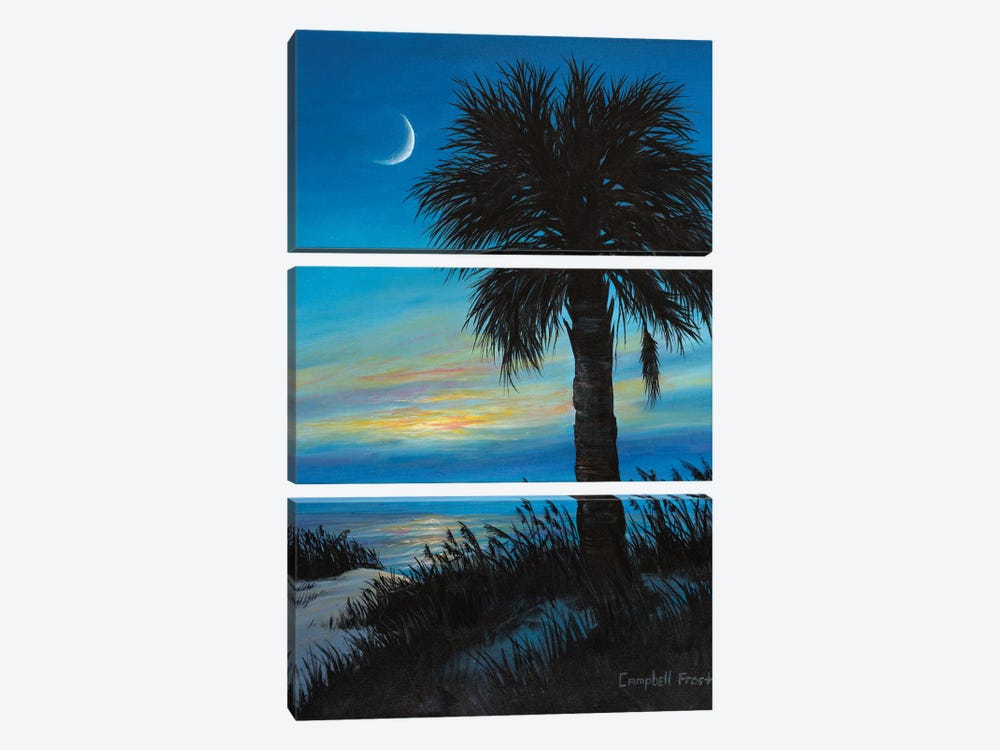 Palmetto Crescent by Campbell Frost 3-piece Canvas Wall Art