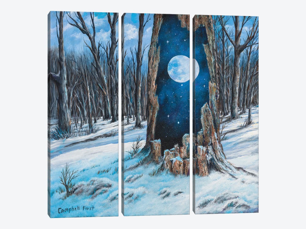 Portal by Campbell Frost 3-piece Canvas Art