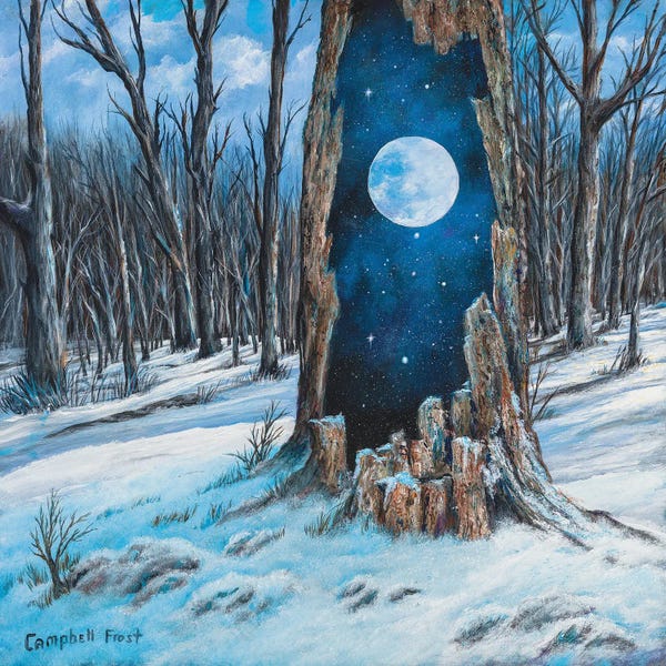 Campbell Frost: Portal by Campbell Frost