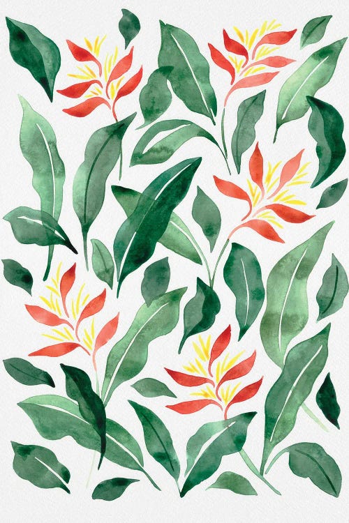 Parakeet Flower by Camila Juncos wall art