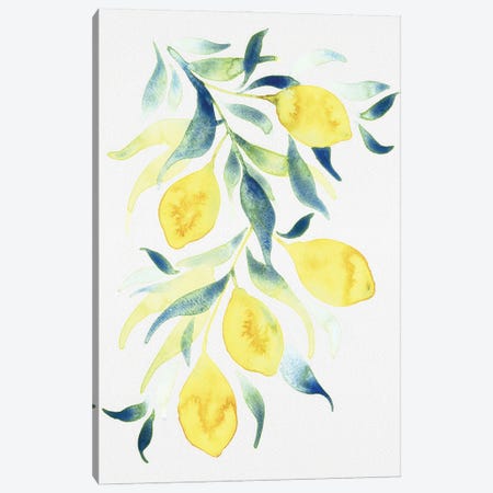 Watercolor Lemons Canvas Print #CMJ4} by Camila Juncos Canvas Art Print