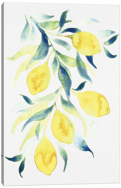 Watercolor Lemons Canvas Art Print - Lemon & Lime Art