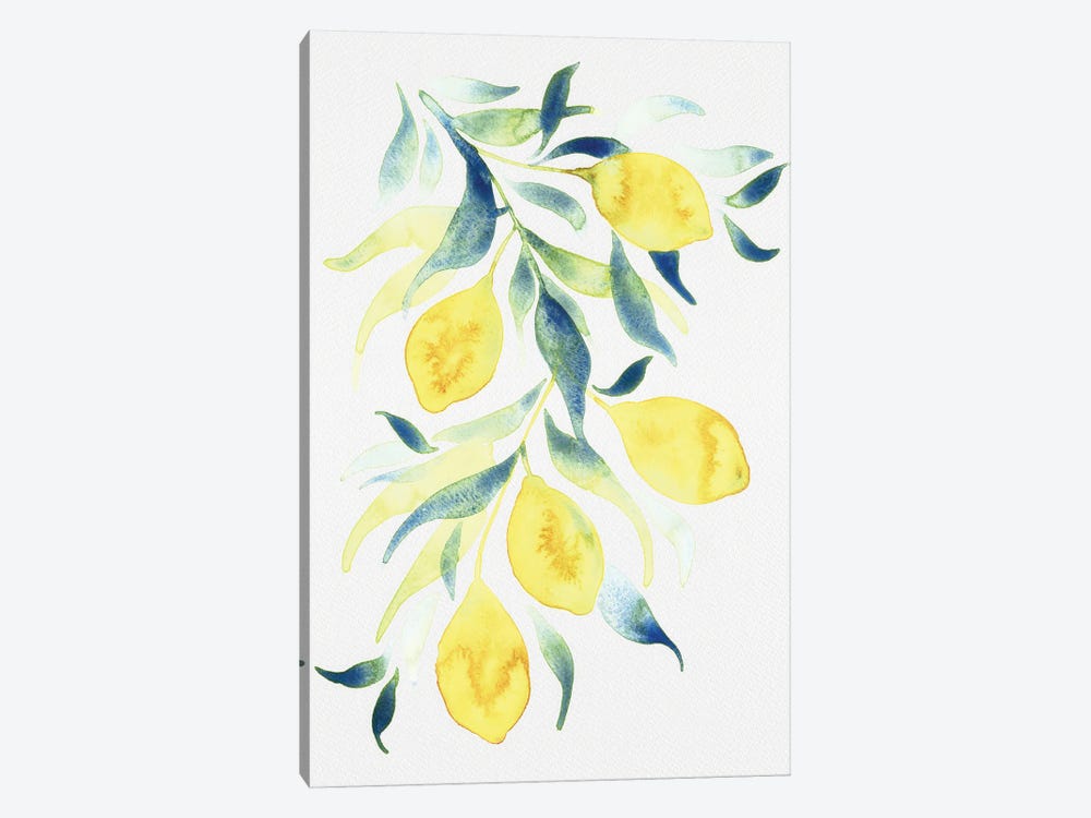 Watercolor Lemons by Camila Juncos 1-piece Canvas Art