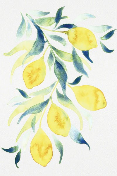 Lemons & Limes: Watercolor Lemons by Camila Juncos