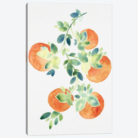 Watercolor Oranges Canvas Print #CMJ5} by Camila Juncos Art Print