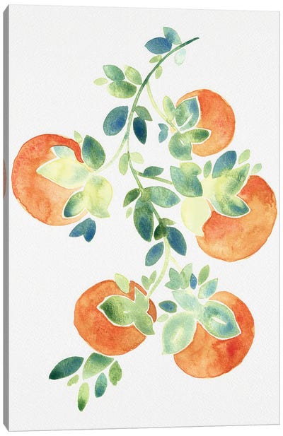 Watercolor Oranges Canvas Art Print - Orange Art