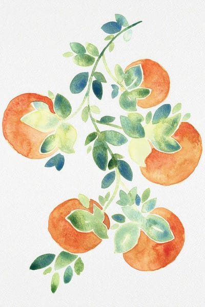 Oranges: Watercolor Oranges by Camila Juncos