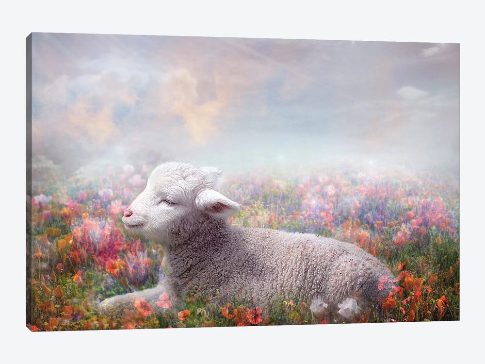 Lamb Of God by Claudia McKinney 1-piece Canvas Wall Art