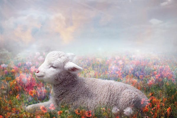 Sheep: Lamb Of God by Claudia McKinney