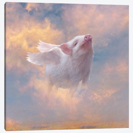 Pig Heaven Canvas Print #CMK107} by Claudia McKinney Art Print
