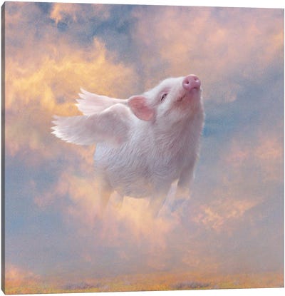 Pig Heaven Canvas Art Print - Claudia McKinney