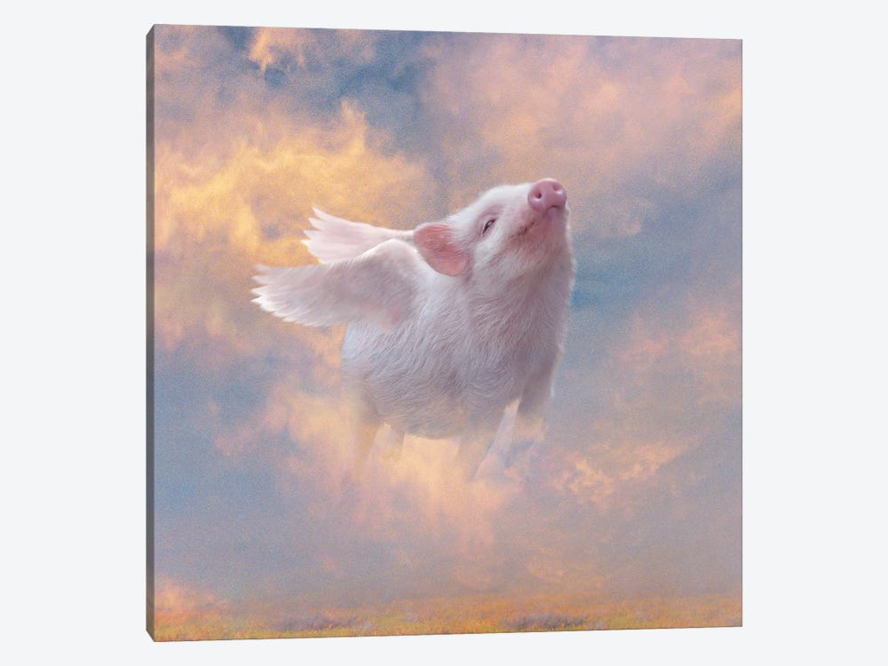 Pig Heaven by Claudia McKinney 1-piece Art Print