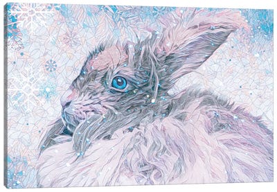 Snow Bunny Canvas Art Print - Claudia McKinney