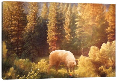 Lone Wolf In Autumn Canvas Art Print - Claudia McKinney