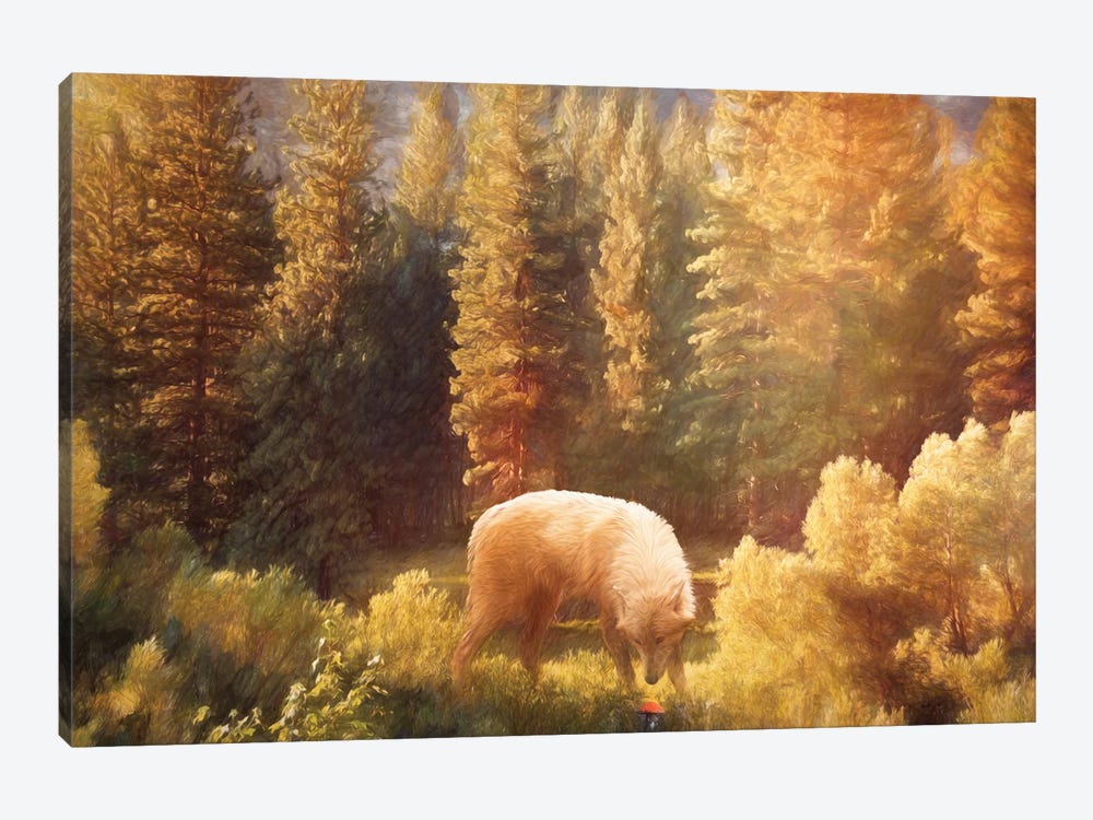 Lone Wolf In Autumn by Claudia McKinney 1-piece Canvas Print