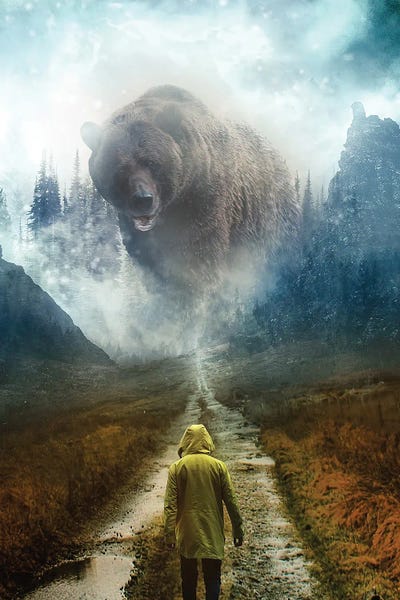Grizzly Bears: No Man's Land by Claudia McKinney