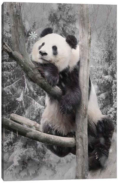 Panda Haven 11x14 Canvas – Your Gateway to Whimsical decor, free shipping