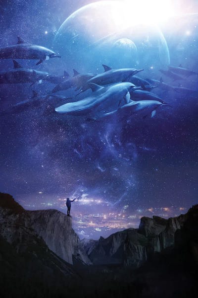 Dolphins: Celestial Waters by Claudia McKinney