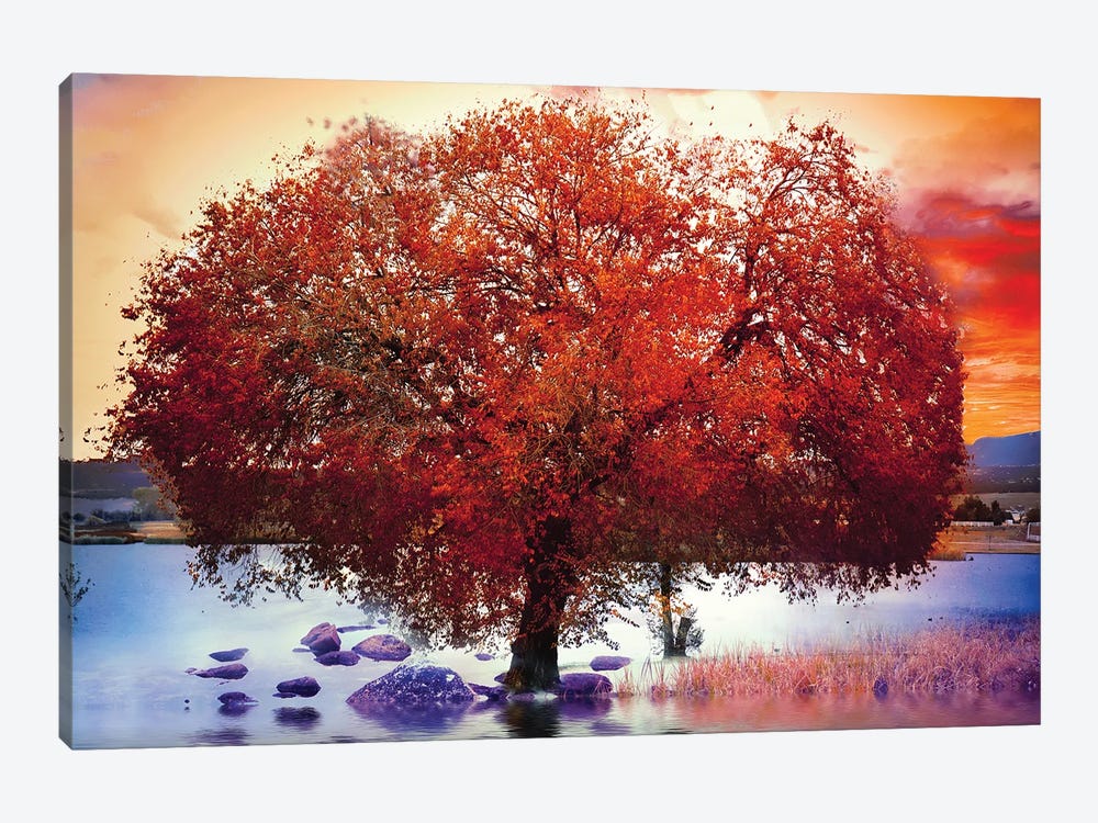 Tree Of Fire by Claudia McKinney 1-piece Canvas Print