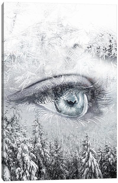 Eye Of The Storm Canvas Art Print - Snow Art