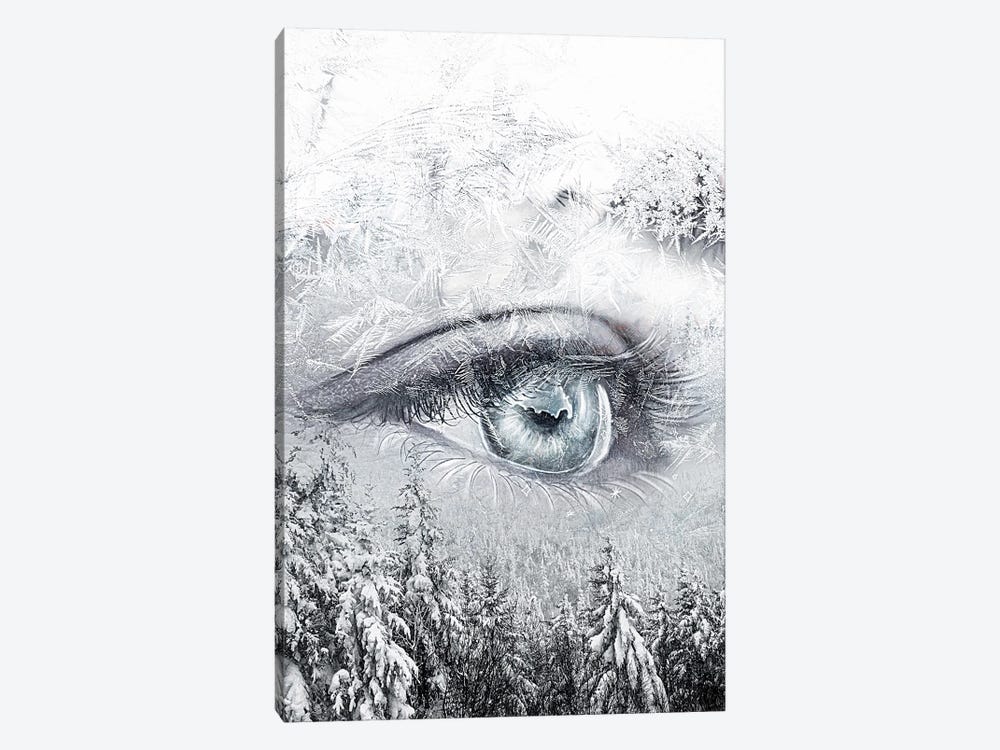 Eye Of The Storm by Claudia McKinney 1-piece Canvas Wall Art