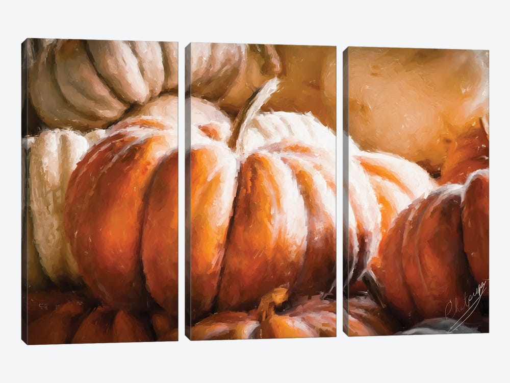 Pumpkins Pumpkins by Claudia McKinney 3-piece Canvas Art
