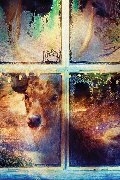 Deer And Window Pane by Claudia McKinney wall art