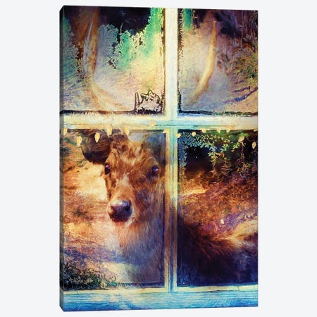 Deer And Window Pane Canvas Print #CMK16} by Claudia McKinney Art Print