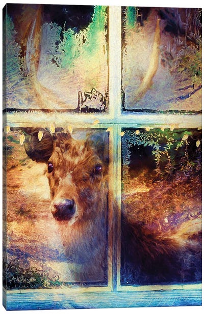 Deer And Window Pane Canvas Art Print - Claudia McKinney