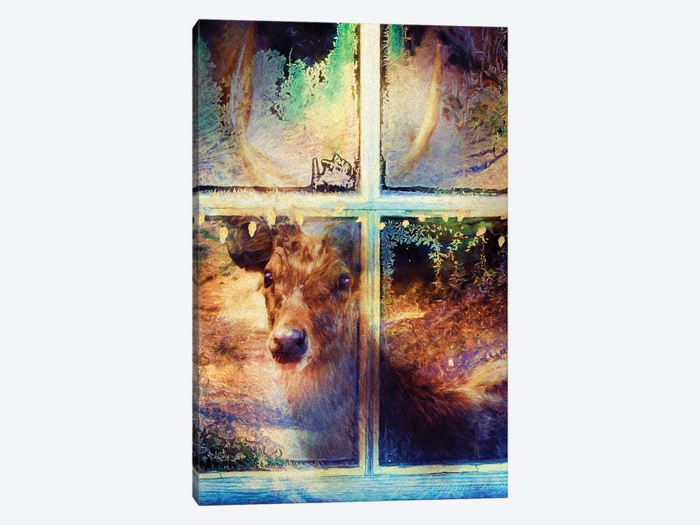 Deer And Window Pane by Claudia McKinney 1-piece Canvas Art