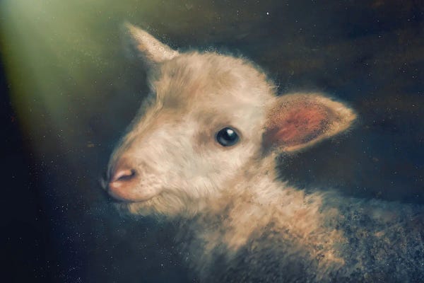 Sheep: Agnus Dei by Claudia McKinney