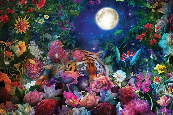 Tigers: Tiger Moon by Claudia McKinney