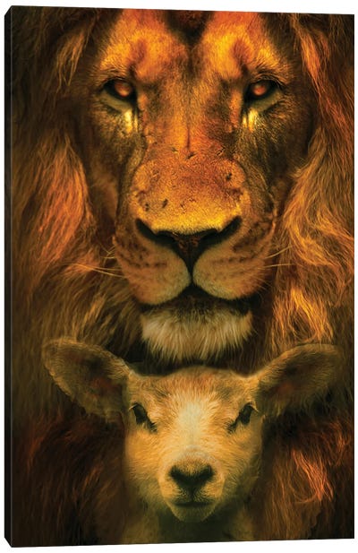 Lion And The Lamb Canvas Art Print - Wild Cat Art