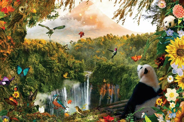 Jungles: A Room With A View by Claudia McKinney