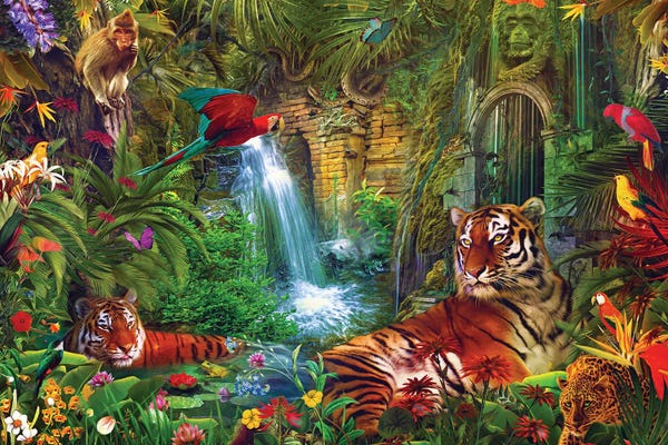 Monkeys: Summer Safari by Claudia McKinney